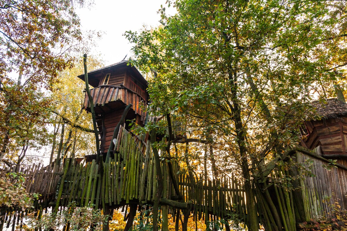 Kulturinsel Einsiedel: the treehouse hotel