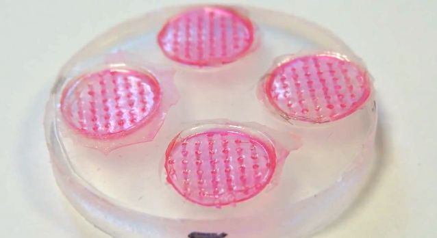 The microneedle arrays in their silicone molds