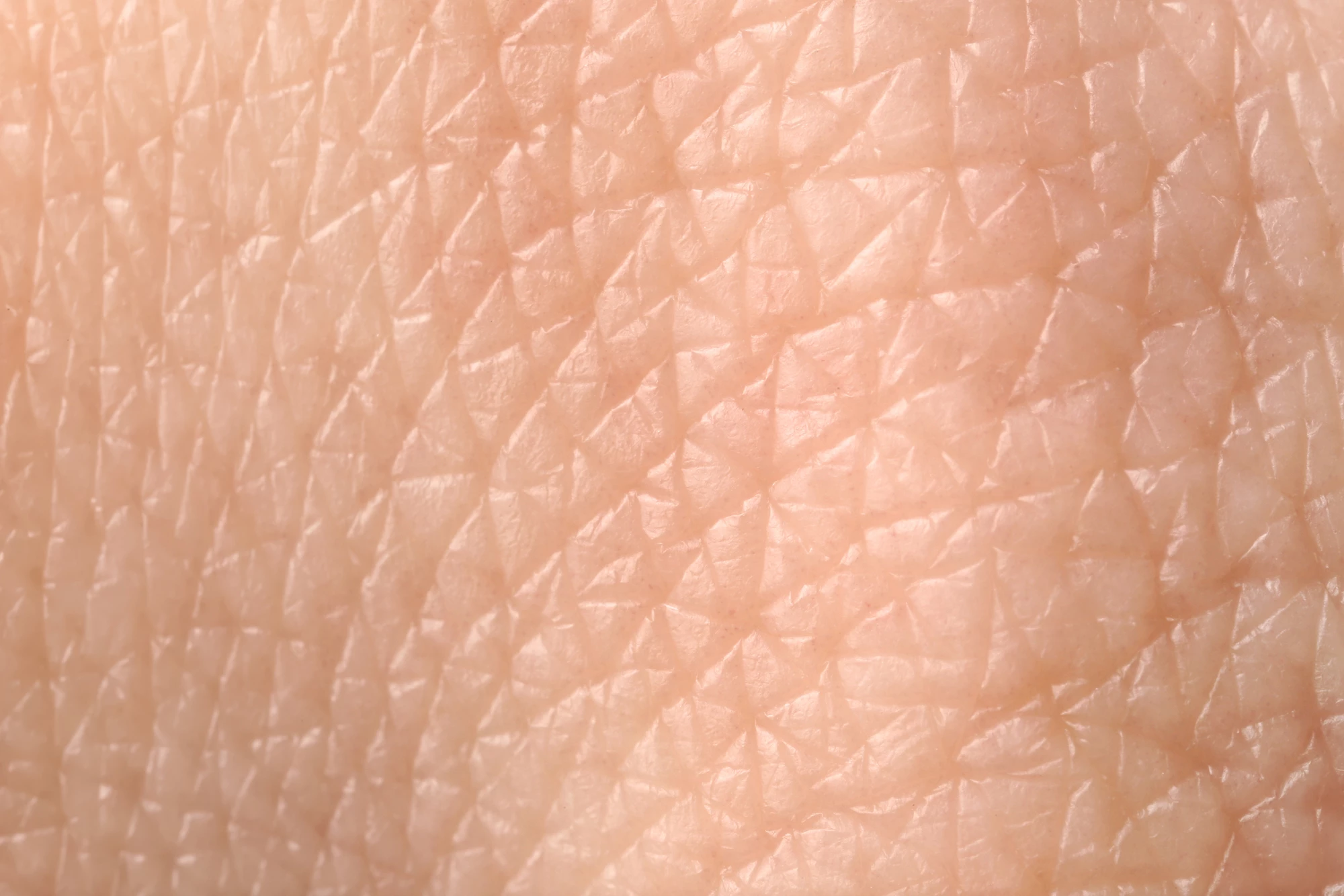 Researchers have, for the first time, discovered hemoglobin in the skin's outer layer