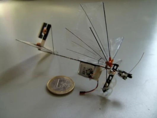 The DelFly Micro