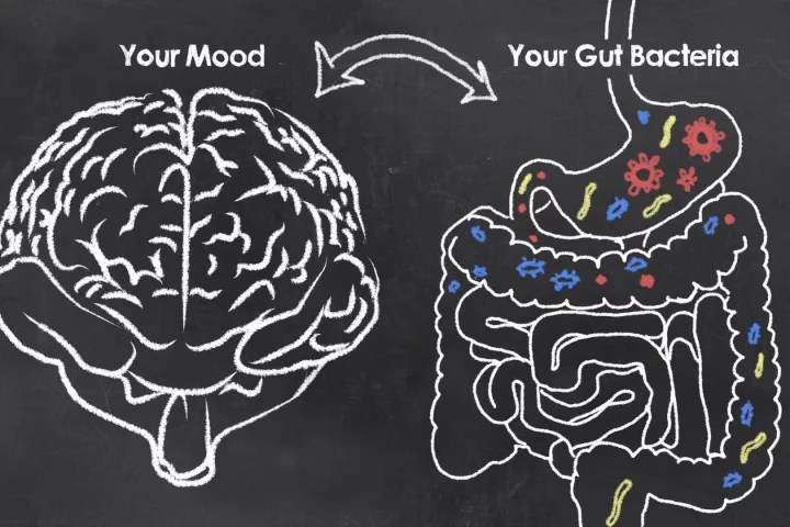 Examining over 1,000 people, a new study revealed two bacteria in particular as being strongly associated with mood and depression