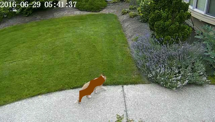 Nvidia engineer Robert Bond has developed a system that detects when the neighbor's cats are in his yard, and turns the sprinklers on to send them packing