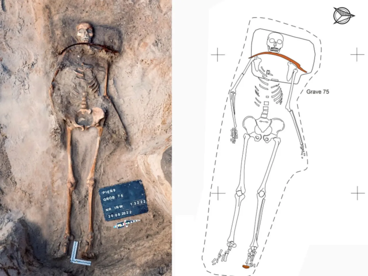 diagram of body in the grave