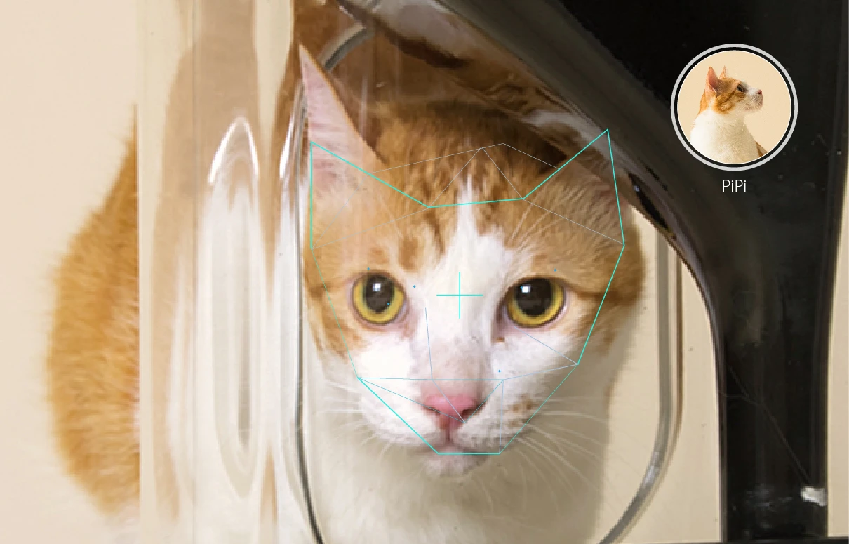 Bistro is claimed to be the first smart cat feeder with facial recognition technology