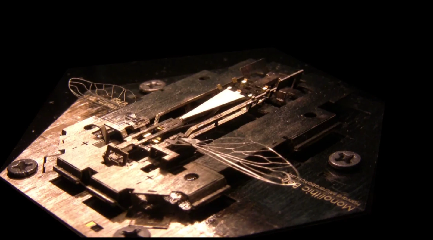 Mobee and scaffold part-unfolded