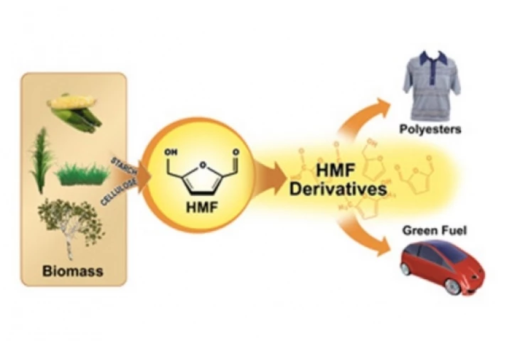 The simplified process converting biomass to HMF