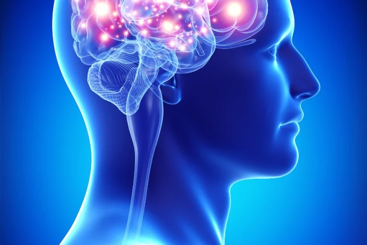 The "amyloid hypothesis" for the cause of Alzheimer's disease is in debate after a series of major clinical trial setbacks