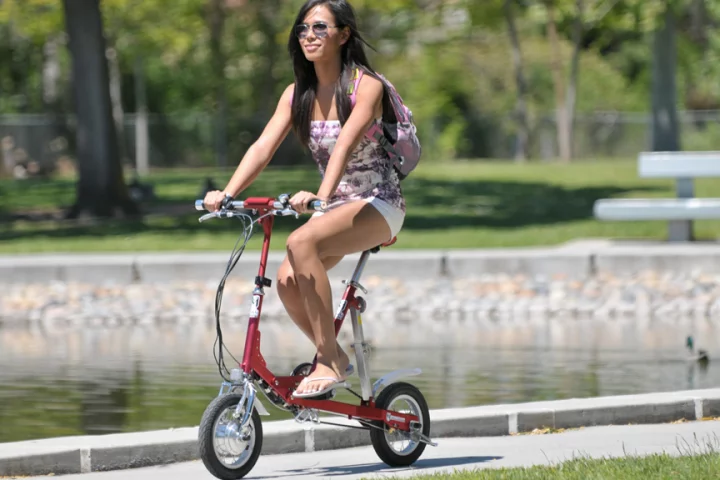 The VeloMini folding electric bike
