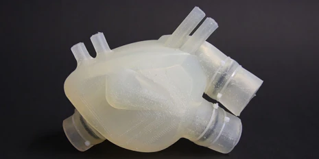 The silicone heart is around the same size as a human heart