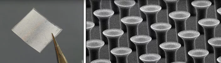 The team took inspiration from the millions of microscopic hairs covering the gecko's feet and legs