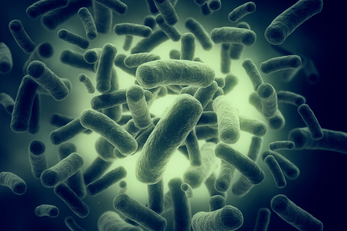 A new antibiotic shows promise against a range of tough drug-resistant bacteria