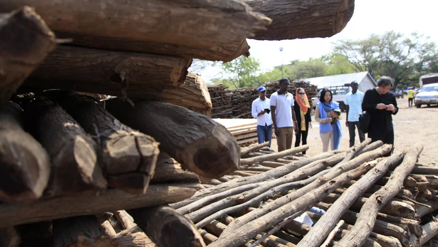 Japanese architect Shigeru Ban has made his name by using cardboard and wood to craft low-cost disaster housing