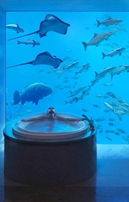 Atlantis Dubai - 65,000 marine animals