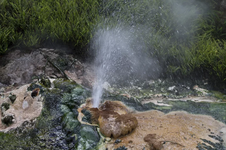 RUB researchers have developed a bio-based solar cell using cyanobacteria found in hot springs (Photo: Noel McKeegan)