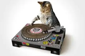 DJ Scratching Deck