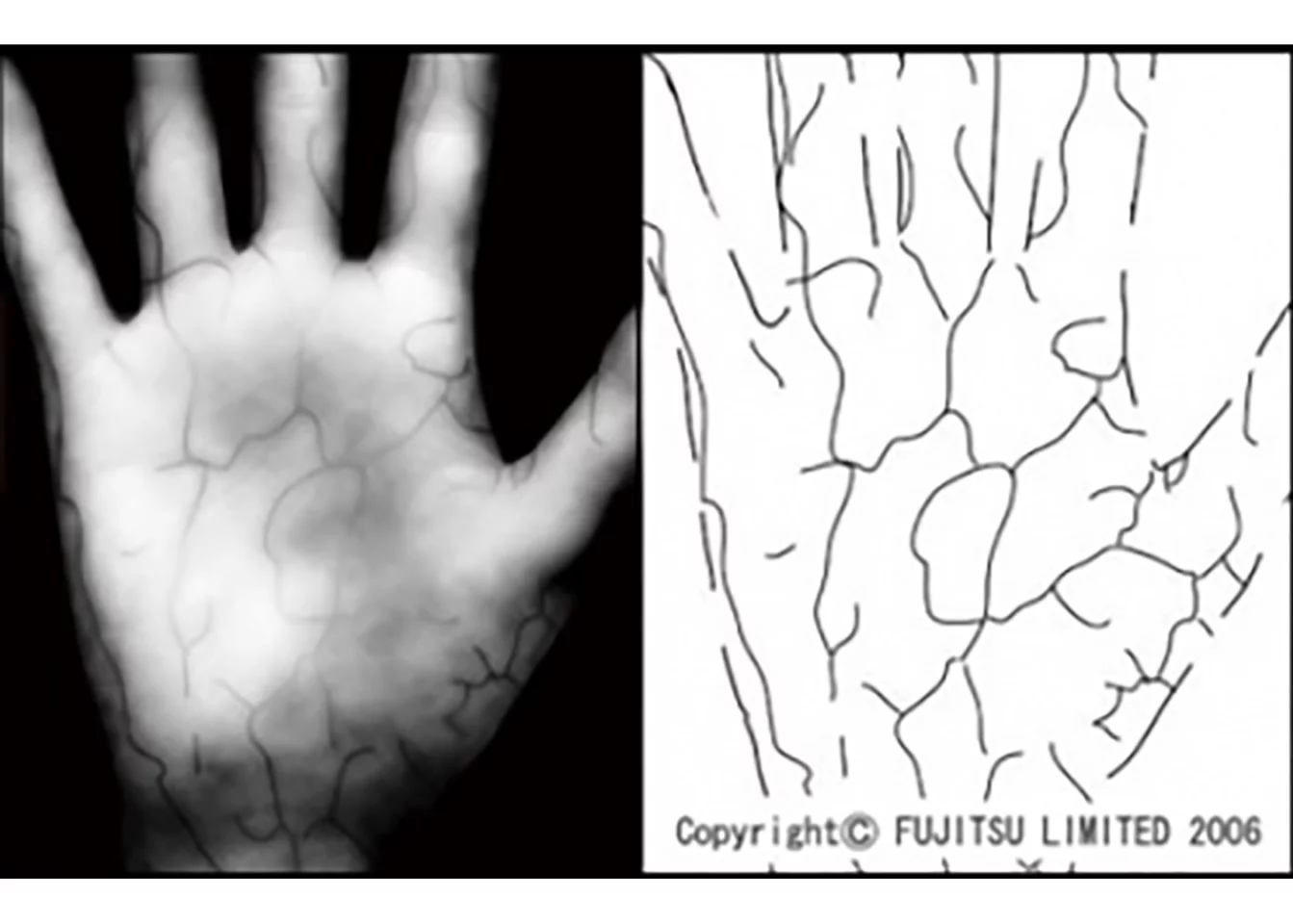 Fujitsu's PalmSecure tech turns your palm into a map of veins