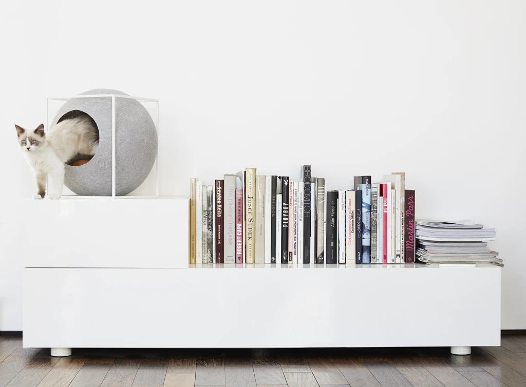 Meyou has turned to Kickstarter to help raise the required funds to bring its feline furniture line to production