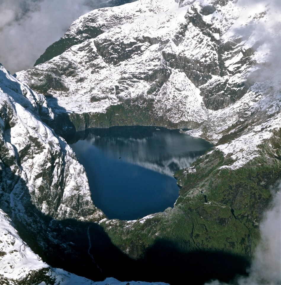 Pumalin Park in northern Patagonia