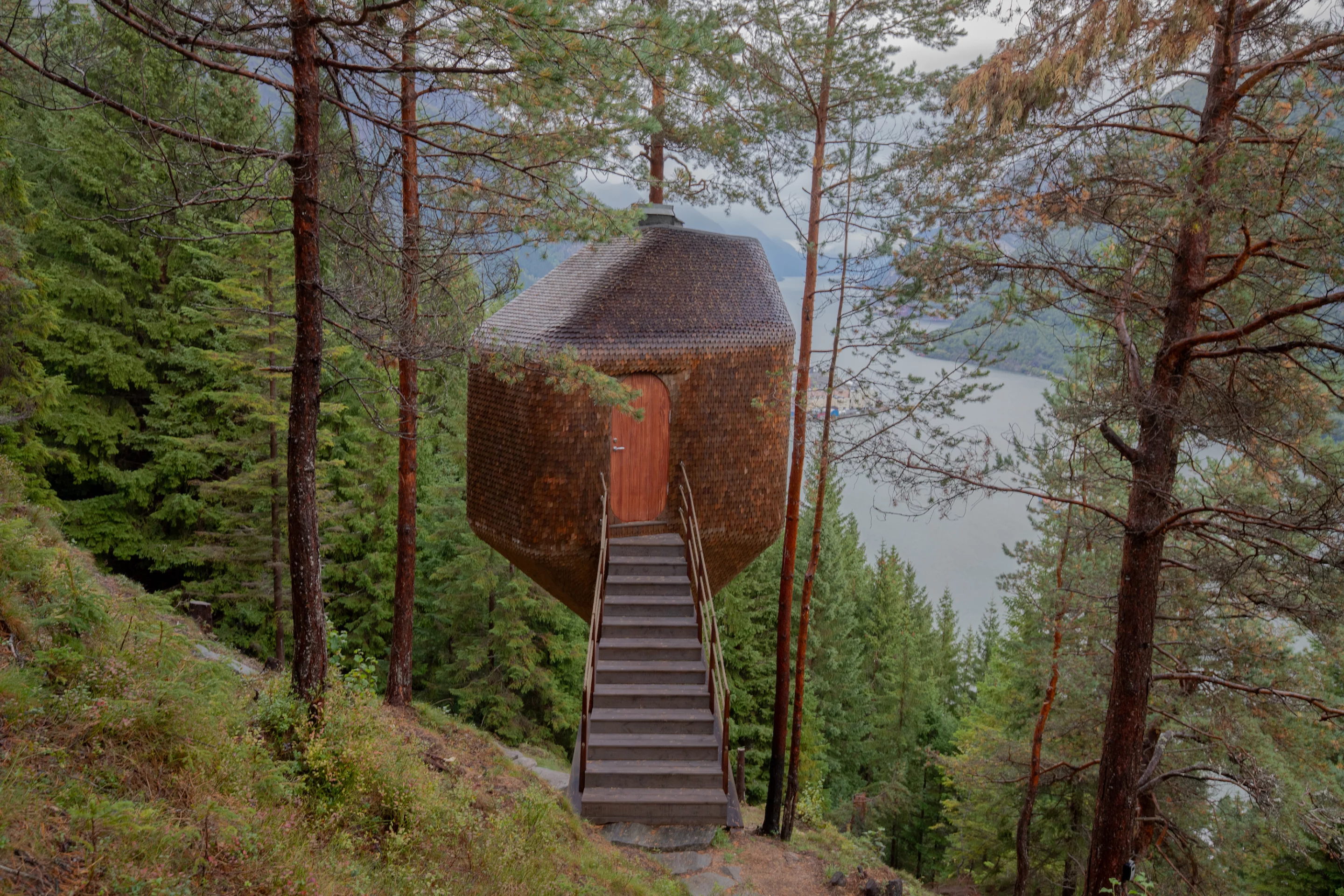 The Woodnest Mountaintops are raised 6 m (19.6 ft) above the forest floor and accessed by a small footbridge