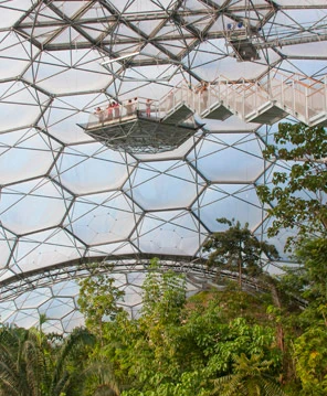 Inside the Rainforest Biome(Image by Eden Project)