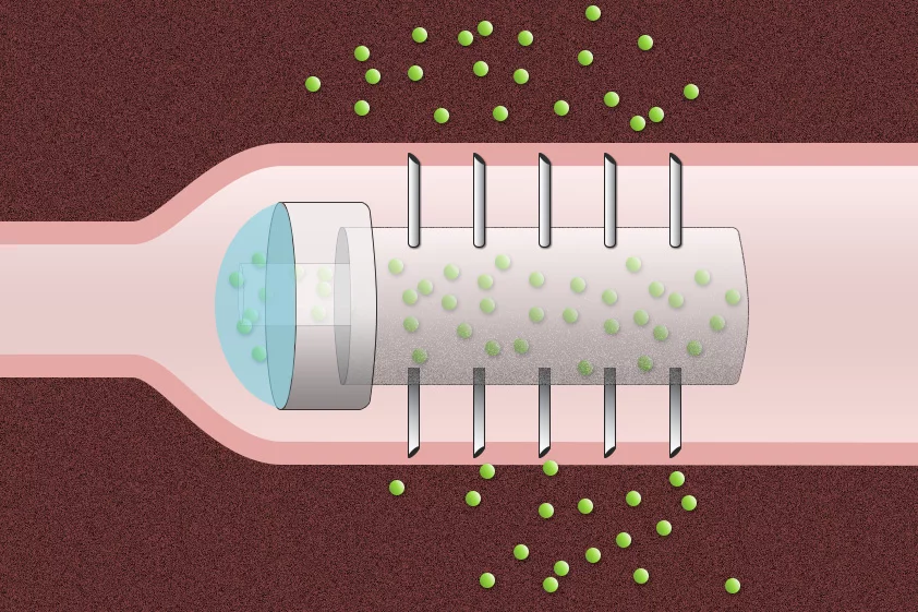 Diagram of the capsule releasing its pharmaceutical payload into the intestinal lining (Image: MIT)