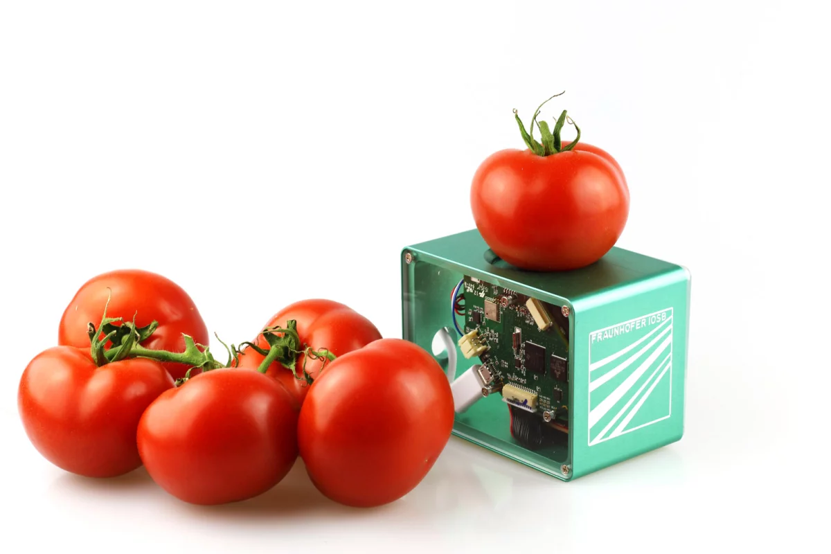 A pocket scanner under development at Fraunhofer relies infrared light to determine the freshness of food
