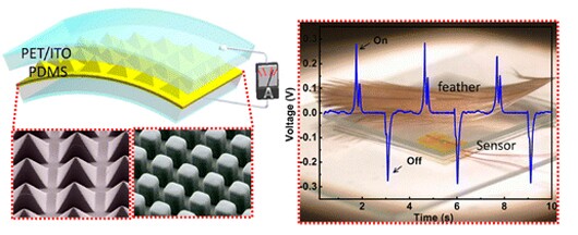 The new high-output, flexible and transparent trioboelectric nanogenerator produced from transparent polymer materials is sensitive enough to detect contact with a feather (Image: Zhong Lin Wang)