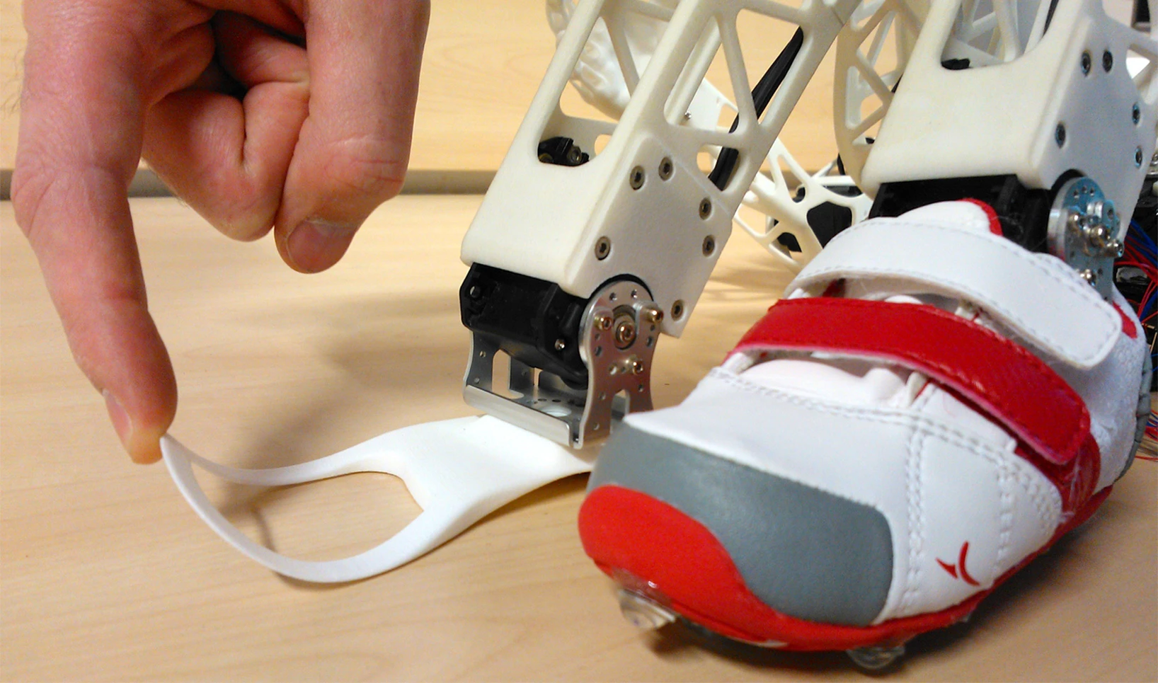 Poppy's feet are small and have a thin strip that bends like our toes (Photo: Inria / H. Raguet)