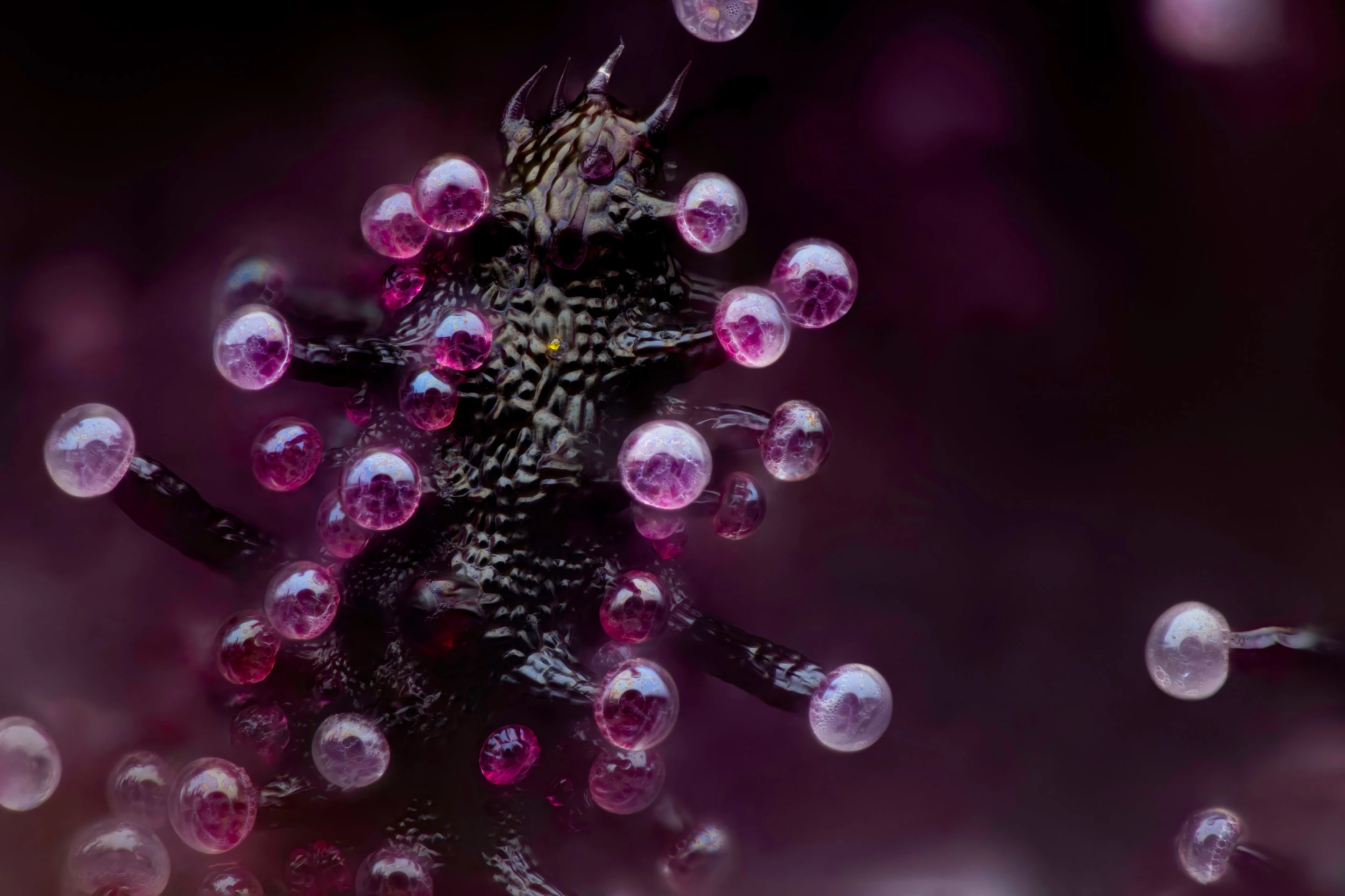 3rd place: Leaf of a cannabis plant. The bulbous glands are trichomes. The bubbles inside are cannabinoid vesicles