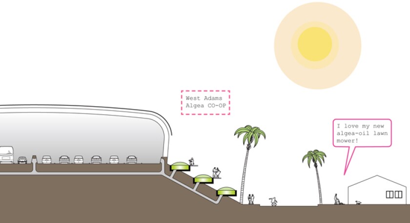 CO2 rich air could be captured and piped to algae ponds alongside the freeway