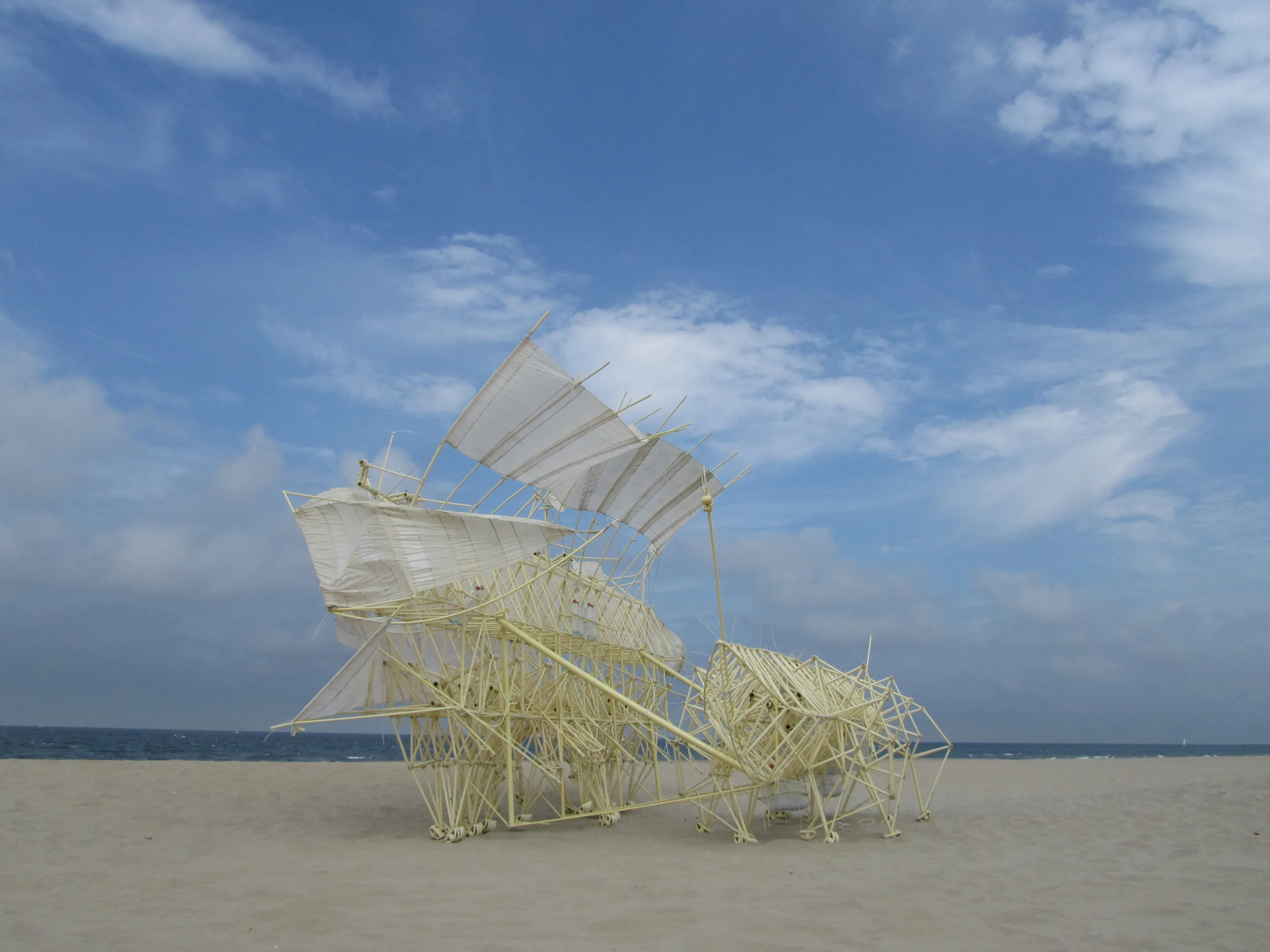 The sails provide the propelling force while its senses help it navigate through the beach (Photo: Theo Jansen)