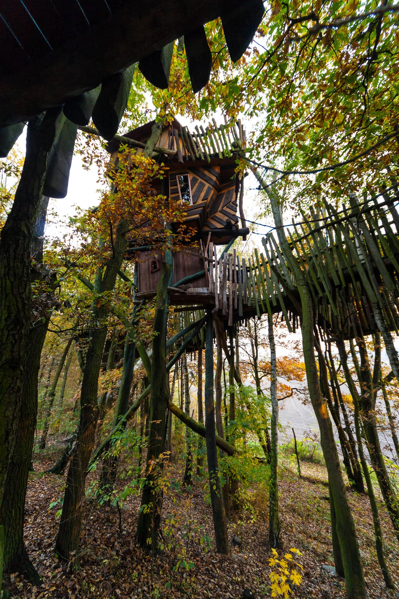 Kulturinsel Einsiedel: the treehouse hotel