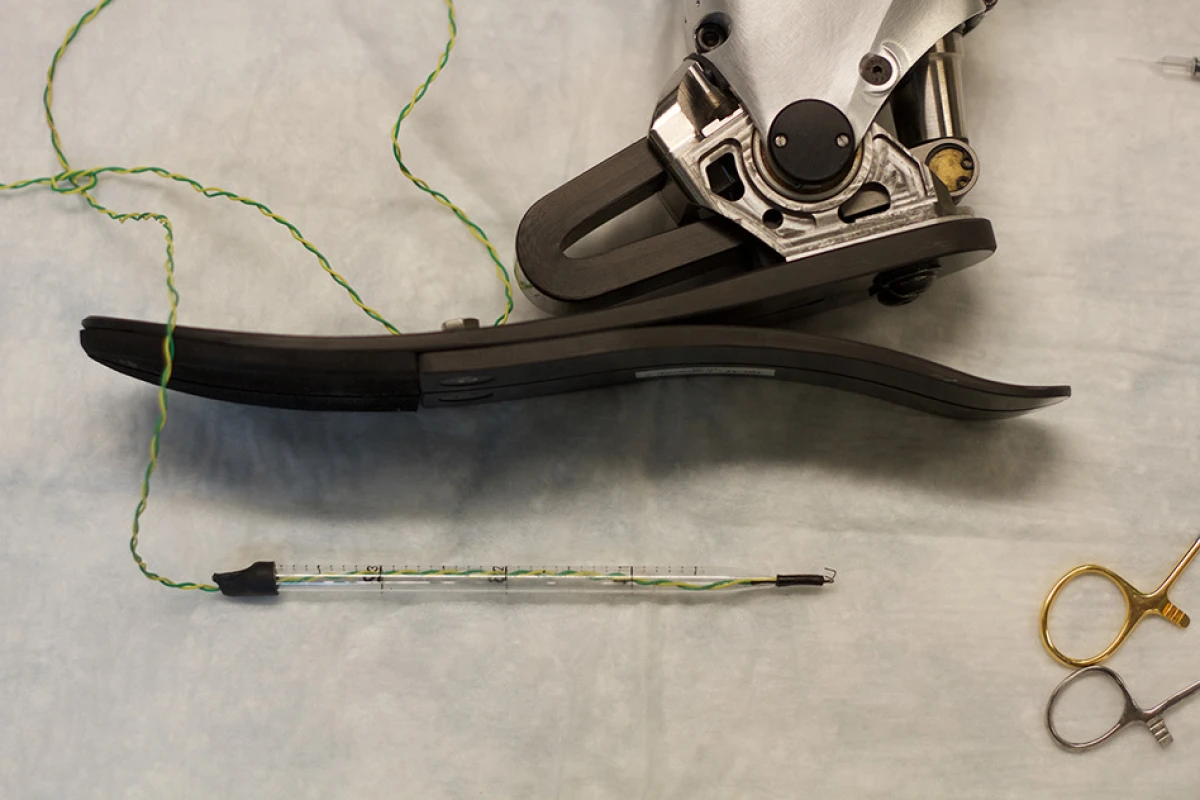 MIT researchers are developing a new surgical approach that would allow amputees to receive sensory feedback from their prosthetic limbs