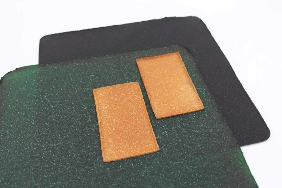 Samples of mycelium leather sheets produced at VTT