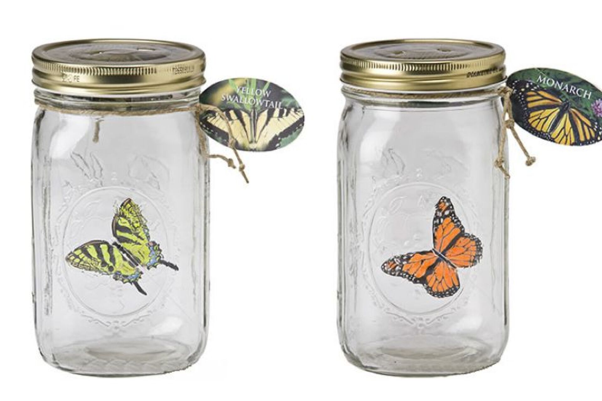 ChouChou Electric Butterfly weirdlyrealistic fluttering butterflies