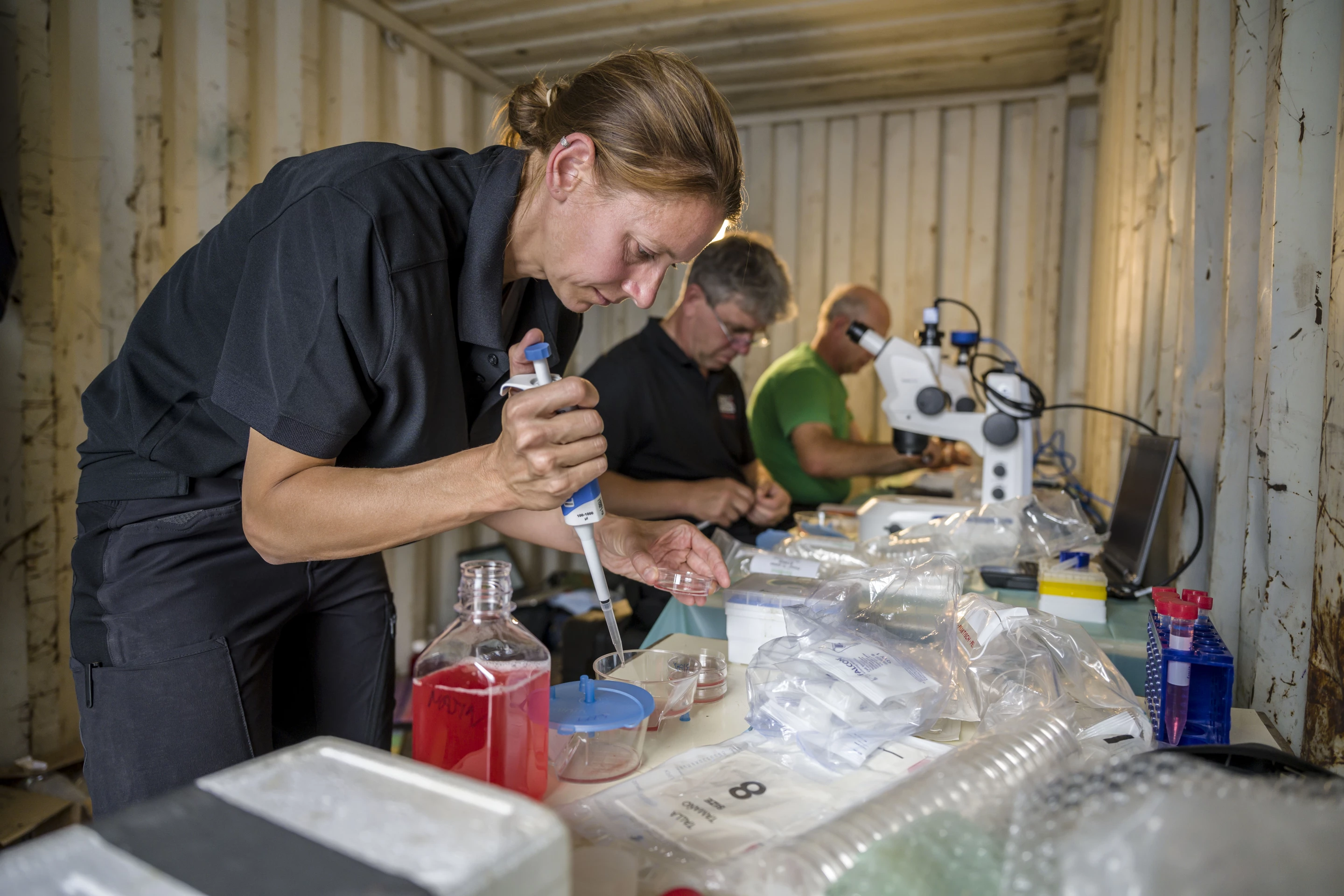 Dr. Susanne Holtze from Leibniz-IZW (left), Prof. Thomas Hildebrandt from Leibniz-IZW (middle) and Prof. Cesare Galli (right), are searching for oocytes
