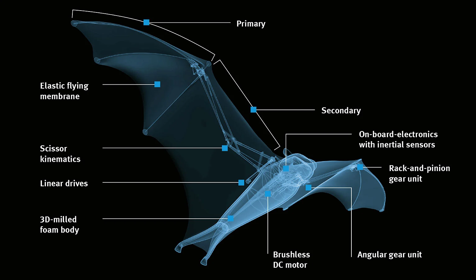 A diagram of the BionicFlyingFox
