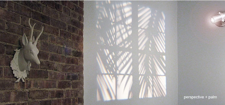 A window frame and stirring branches projected by Adam Frank's REVEAL