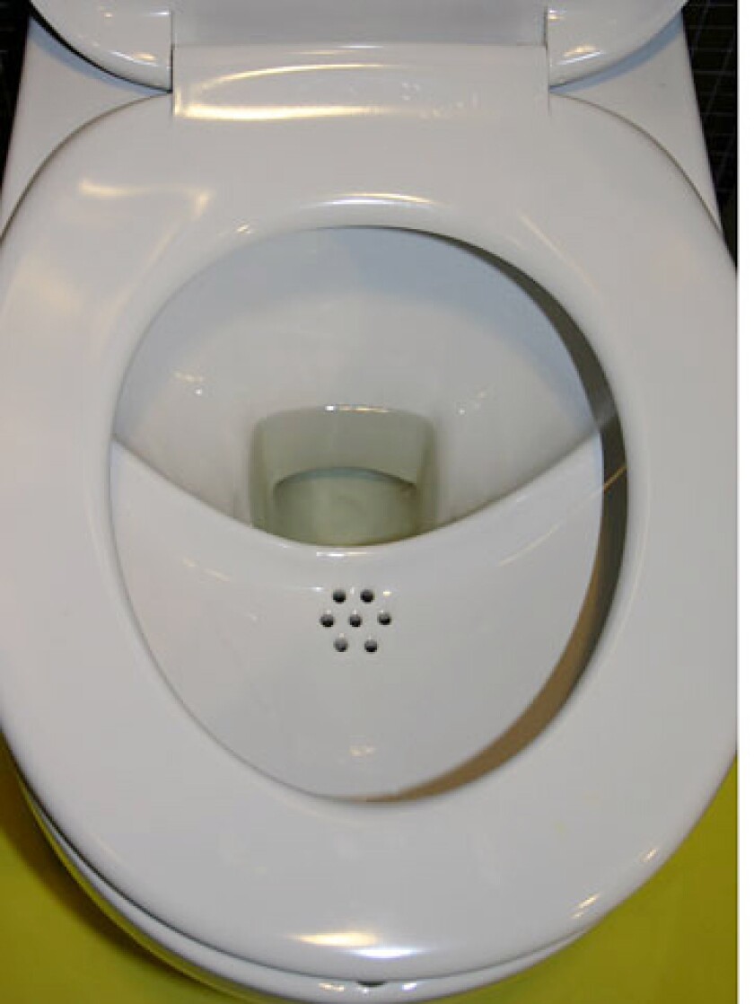 A NoMix toilet, which separates liquid and solid waste (Photo: Judit Lienert)