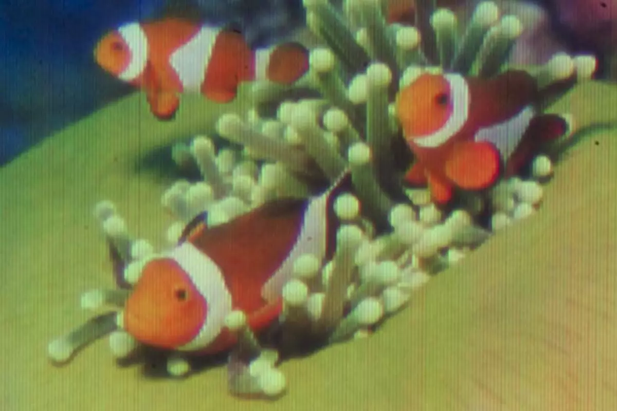 This picture has been printed at a resolution of 25,000 DPI