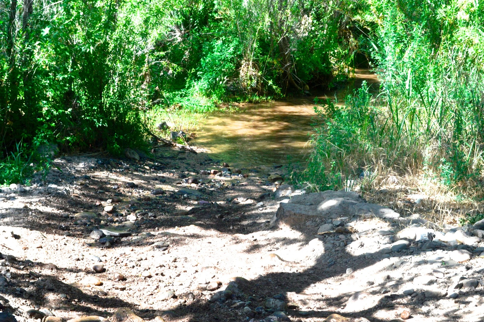 This crossing looked like it might suck us into a desert swamp of no return, but we splashed through and quickly emerged back on dry land