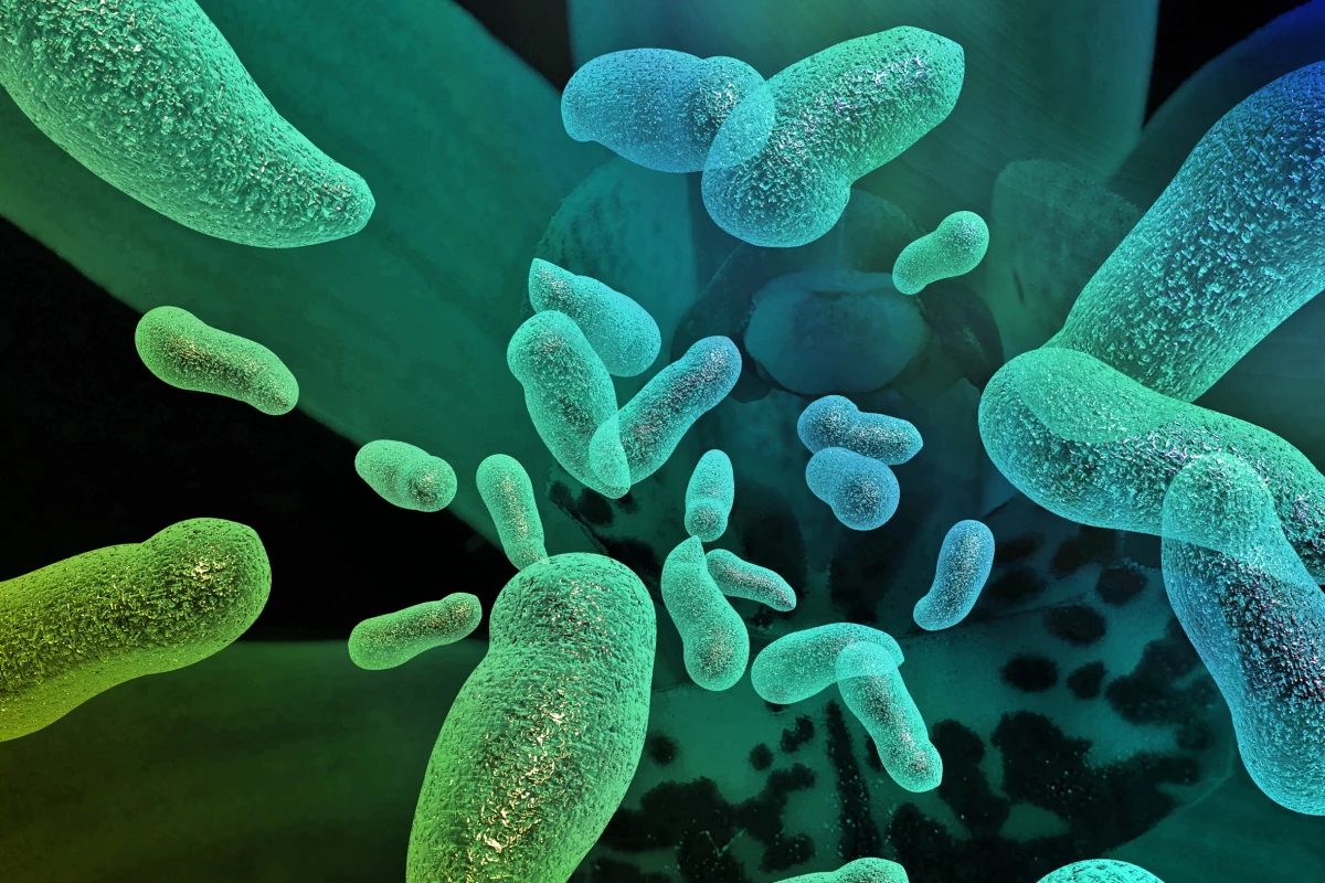 A new study has thrown further weight behind the idea that initial exposure – and therefore age – can shape vulnerability to different sub-types of influenza A