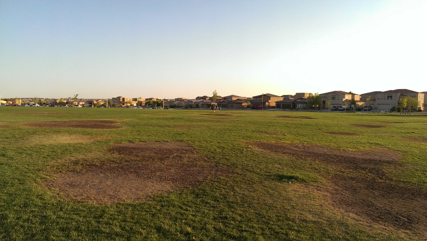 Unedited (but downscaled for the web) sample shot from the One's rear camera