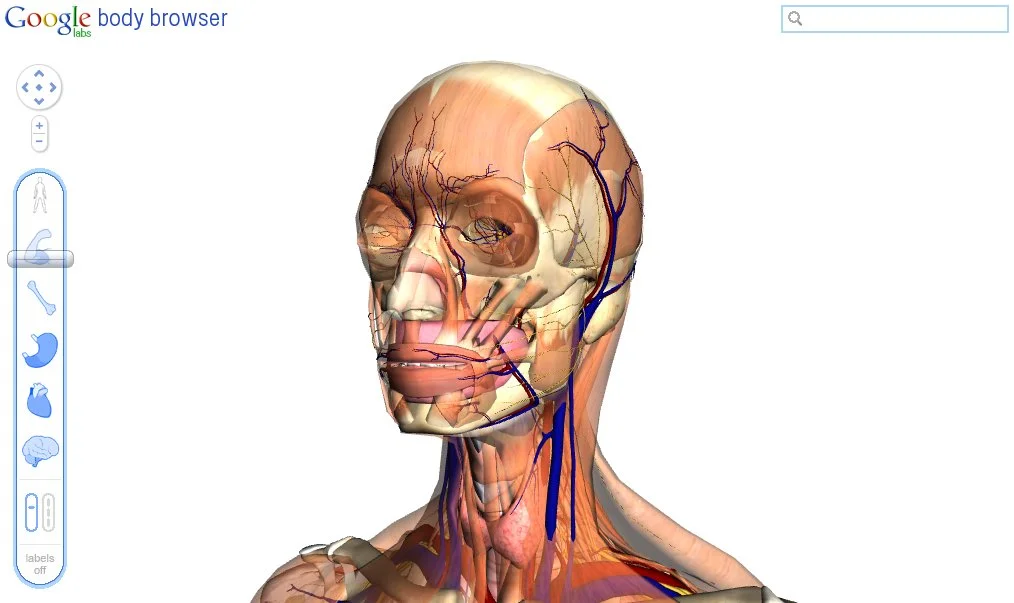 Google Labs has revealed an interesting example of HTML5 and WebGL technology in the Body Browser, an interactive 3D journey through and around the human body