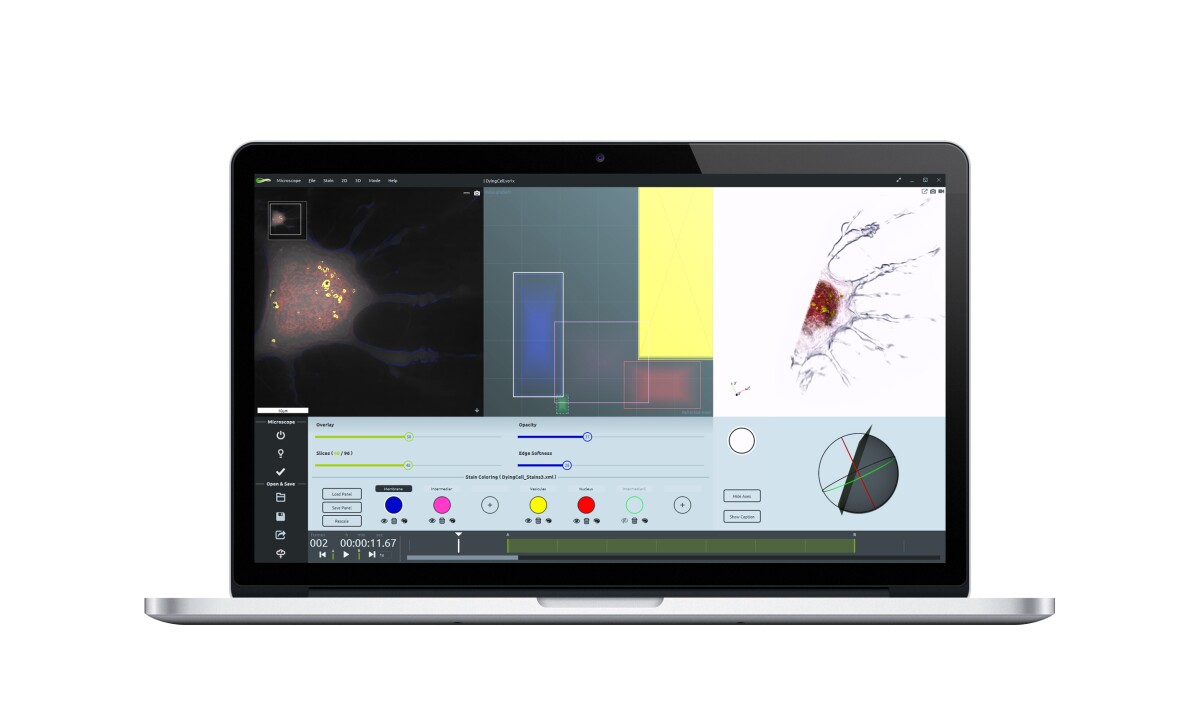 Using the digital staining process in STEVE which incorporates different IR values to identify and mark organelles and other intracellular features