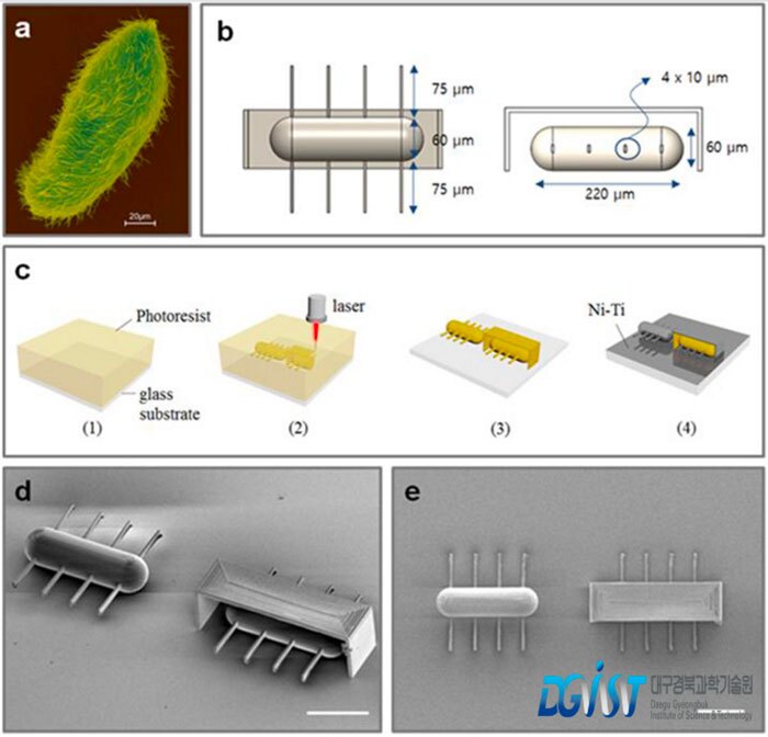 Design and fabrication process of ciliary stroke motion microrobots developed by Prof. Choi’s research team.