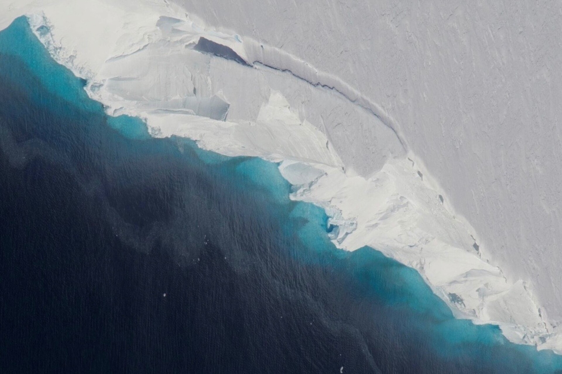 Thwaites Glacier's critical ice shelf could collapse within five years