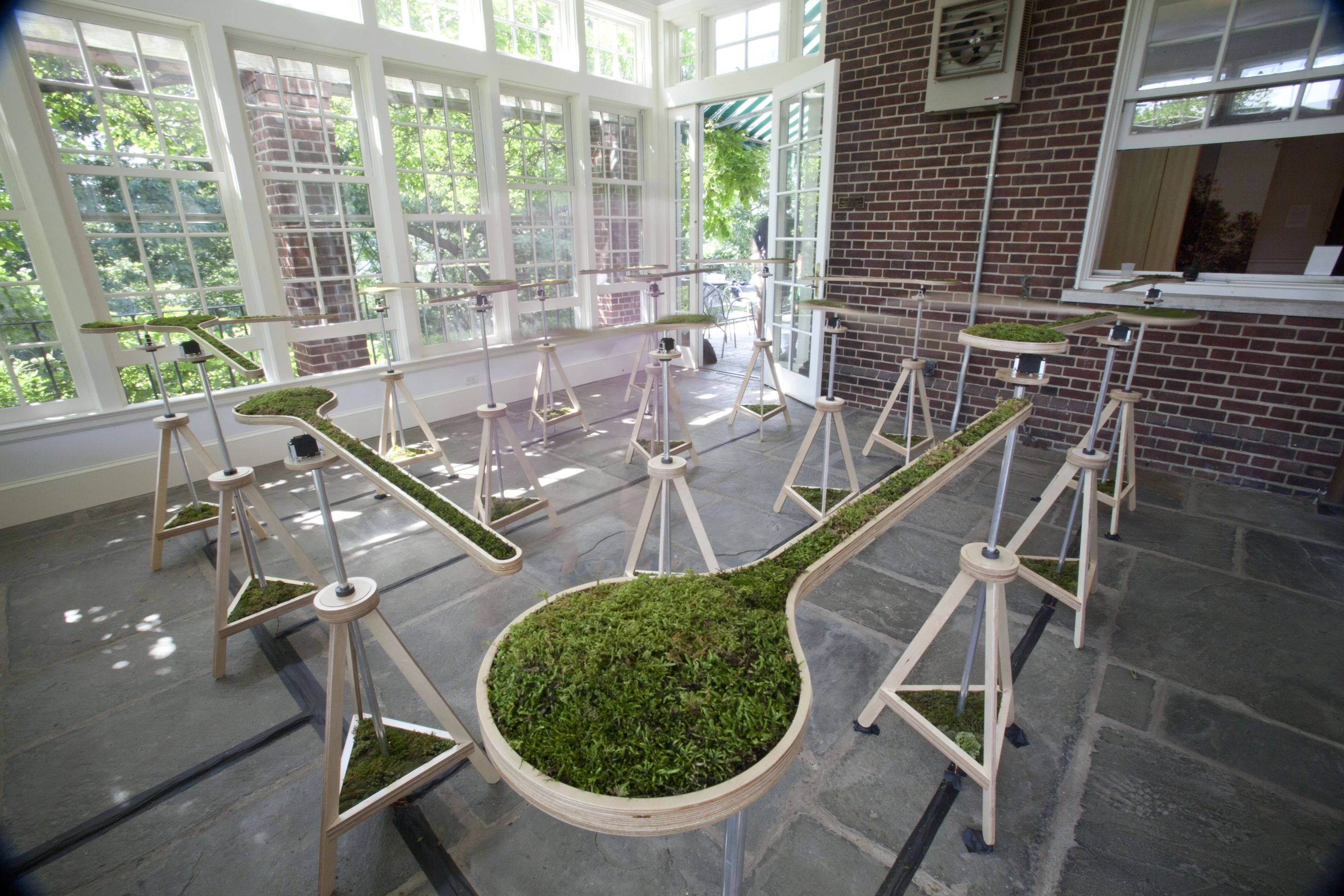 Artist Nova Jiang scoured the sidewalks of her native New York (Brooklyn, to be precise) to extract moss samples to embed into the moving planters of her Landscape Abbreviated art installation