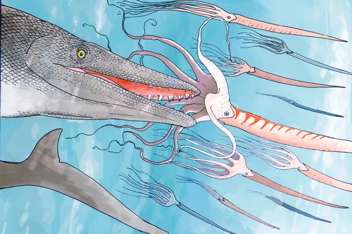 An artist's impression of the newly discovered mosasaur, a giant sea-dwelling lizard that dates back to the age of the dinosaurs. Its star-shaped teeth are what makes it unique