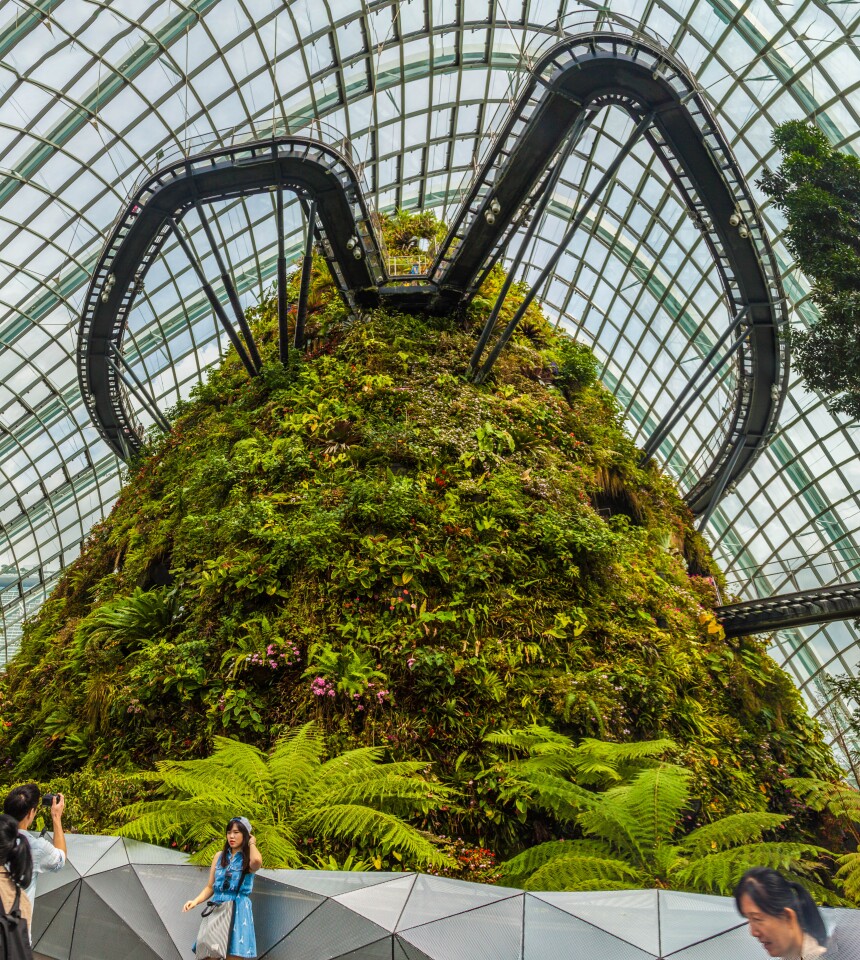 Gardens by the Bay – the Cloud Forest skyway (Photo: Loz Blain)